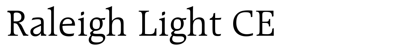 Raleigh Light CE
